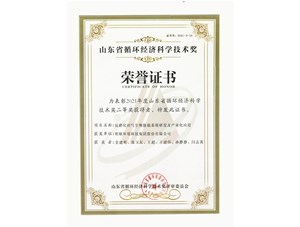 热烈：豍NG电子平台环境集团获得2021年度山东省循环经济科学技术奖二等奖