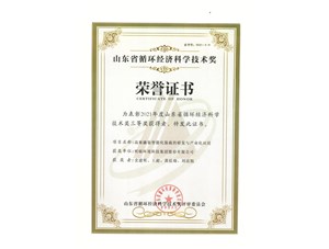 热烈祝贺PNG电子平台环境集团获得2021年度山东省循环经济科学技术奖三等奖